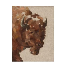 Jacob Green Tiled Bison I Canvas Wall Art Western Wildlife Print Home or Office