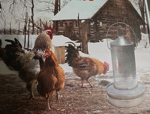 Heated Drinker Base/ Chicken Water Heater - Picture 2 of 11
