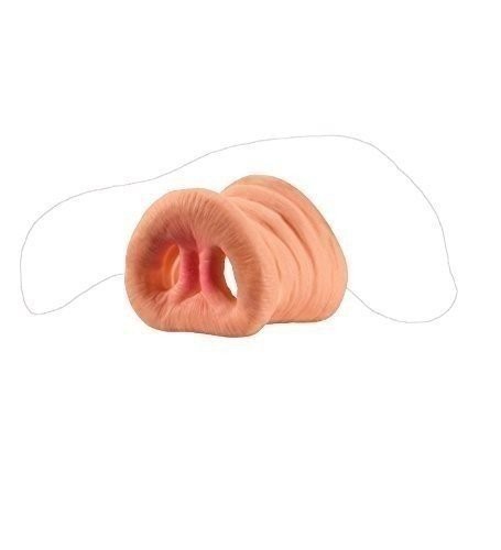 Loftus Cochon Museau Nez Cochon, Masque Animal Déguisement avec Bande Élastique, Rose, 2" - Photo 1/2