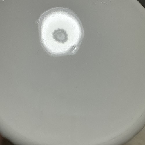 Cazuela redonda para hornear blanca francesa Corning Ware F-1-B con tapa 2,5 cuartos de galón - Imagen 13 de 15