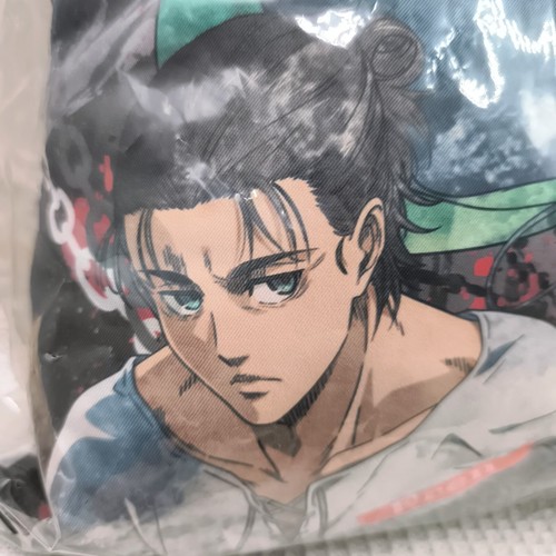 Attack on Titan The Final Pillow Jumbo Cushion Set B 40 x 50 cm Japan Prize - Picture 10 of 15