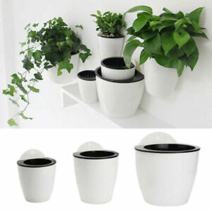 Plant Pots Indoor Plastic Planter Wall Hanging Flowers Cover Round Baskets Boxes