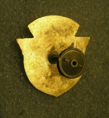 Insignia de la Marina de Rusia 830 Helicópteros Antisubmarinos Reg. - Imagen 2 de 2