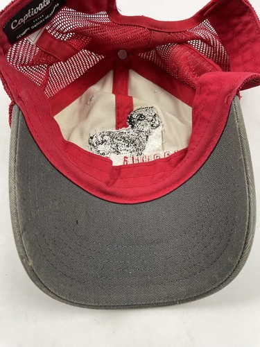 JOSHUA TREE National Park Red Beige Mesh Adjustable Trucker Hat Bighorn Sheep - Picture 11 of 11