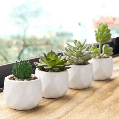 Modernas mini macetas blancas geométricas de cerámica artificial suculentas, conjunto de 4 - Imagen 5 de 7