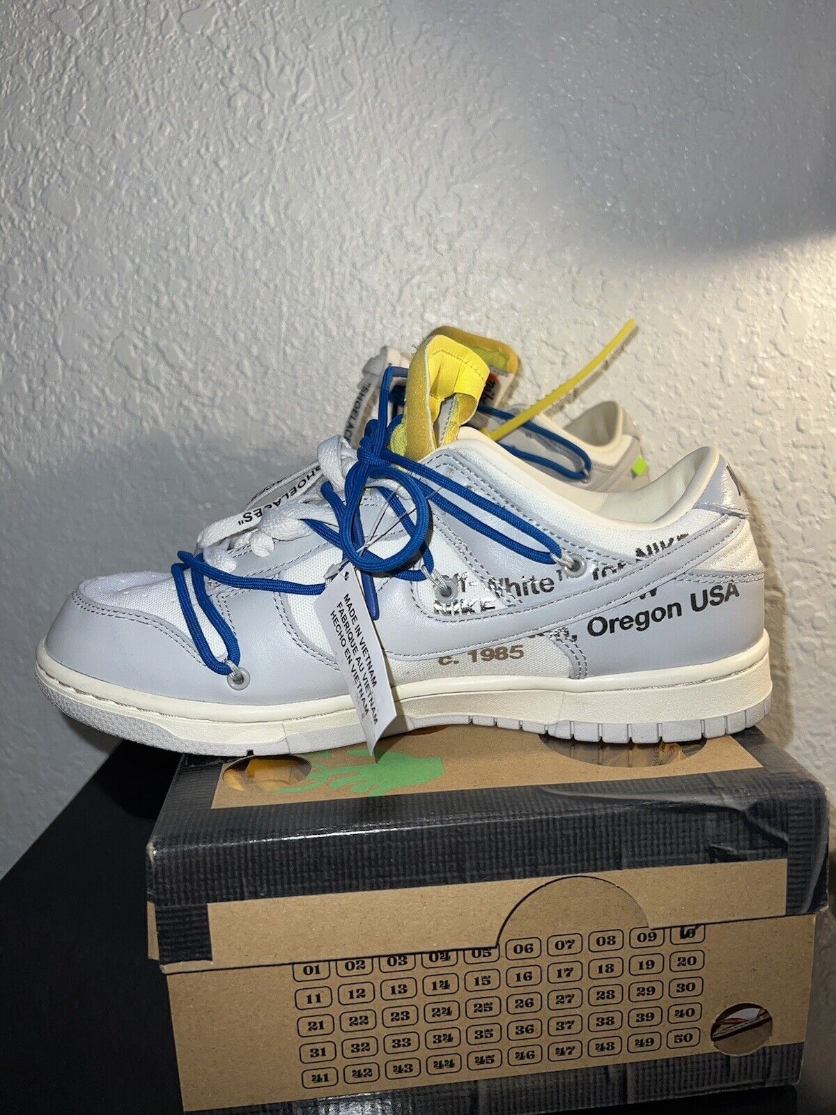 nike off white dunk low lot 10