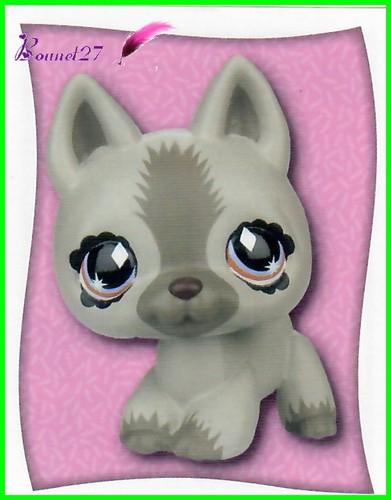 Image Stickers PANINI - Hasbro - LITTLEST PETSHOP 2008 - Imagen 13 de 34