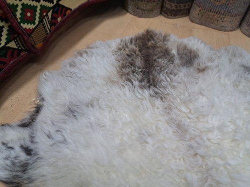 Turkish Sheep Skin, Curly Lamb Leather, Natural Skin, Genuine Hide, 1.8 x 3.2 ft - Picture 4 of 19