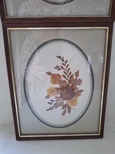 Vintage Framed Pressed Flowers From Greenisland Northern Ireland Art Oval Mount - Picture 3 of 11