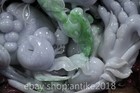 Foto 6 di 21