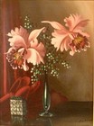 Foto 2 di 4