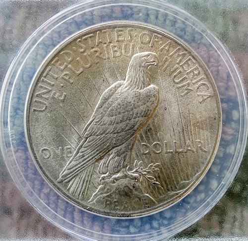 1925 P Peace Silver Dollar ANACS Graded MS 61 Condition. - Imagen 3 de 4