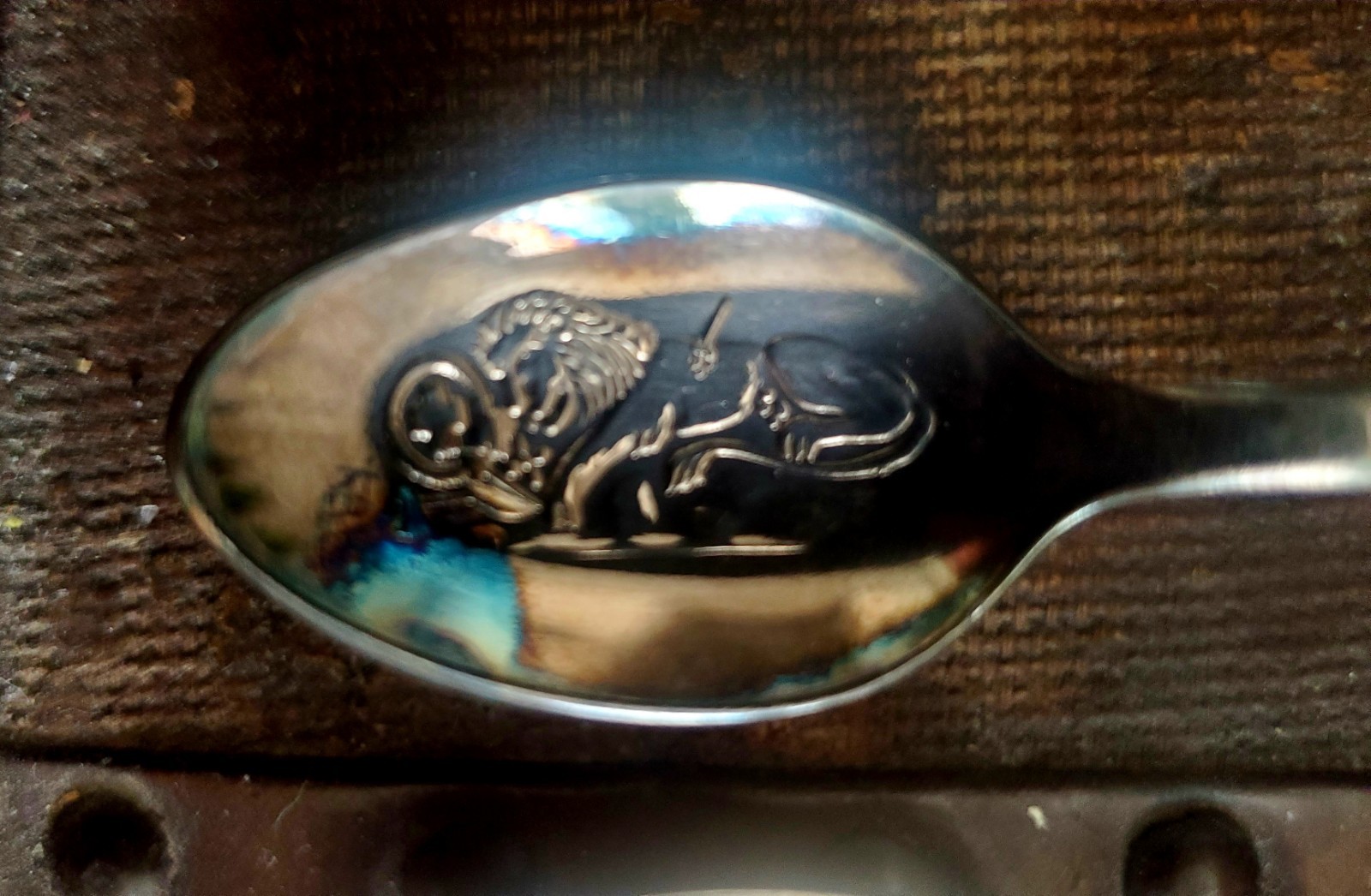 Picture 4 of 11