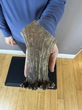 1  Whole MOOSE ANTLER BILLET  Shed FLINT KNAPPING Horn KNIFE HANDLE