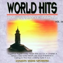 World Hits-Instrumental Vol.14 von Acoustic S...