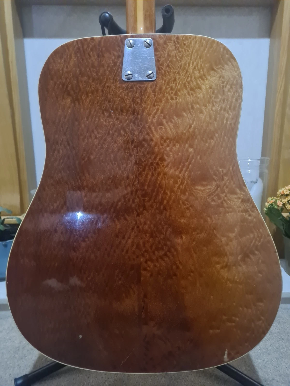 Picture 3 of 13