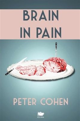 Brain in Pain: A Wounded Healer's Heart-Wrenching and Heart-Warming Guide to ...