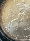 2004 American Silver Eagle 1 oz .999 Fine Silver Littleton Showpak BU