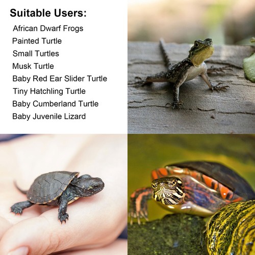Resin Turtle Reptile Platform Basking Ramp Tank Water Aquatic Climb Ornamen - Picture 7 of 19