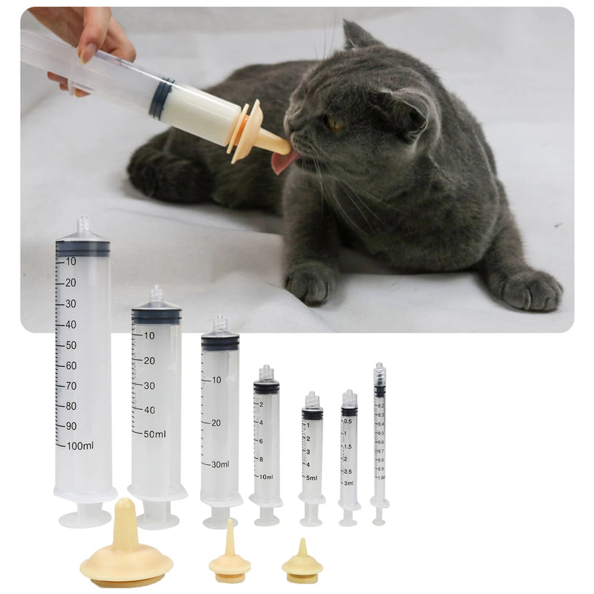 Cat sale feeding syringe