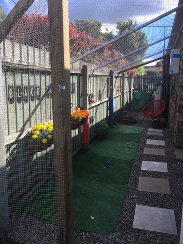 Cat Enclosure Netting 3m x 3m STONE COLOUR - FREE SHIPPING - Picture 4 of 9