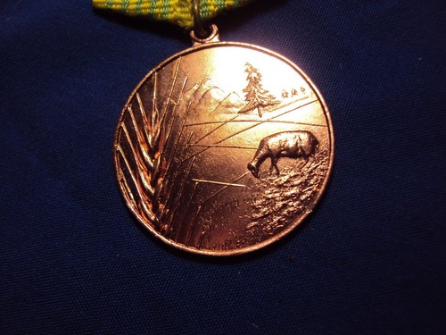 ALBANIA MEDAL AGRICULTURE UNIQ. CLASS ALBANIAN ORDER DURING COMMUNISM 1945 1990 - Picture 3 of 4