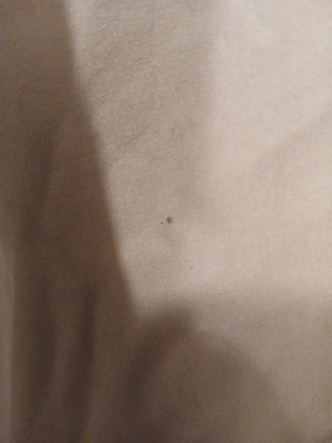 Picture 4 of 5