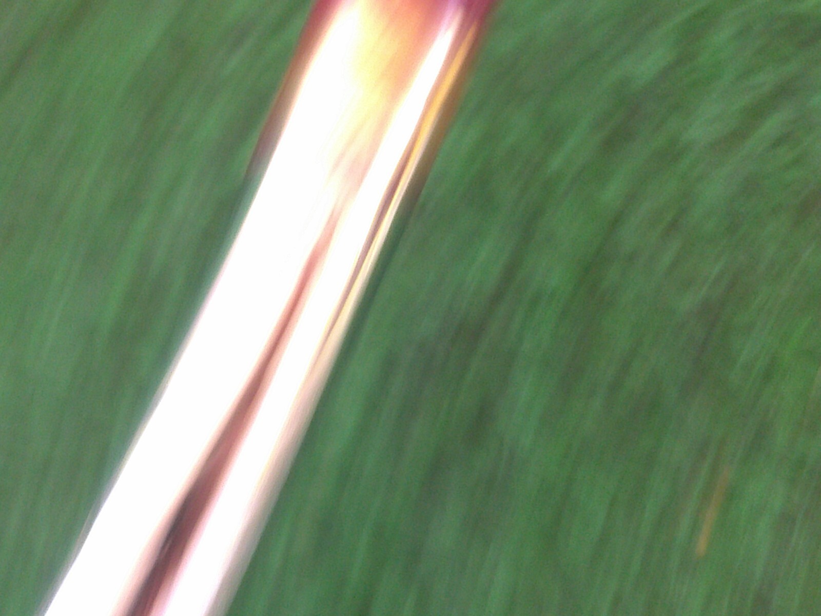 Picture 5 of 6