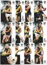 2012 SELECT ETERNITY RICHMOND TIGERS CARD SET
