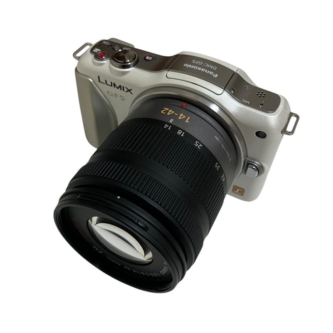 Panasonic Lumix DMC-GF5 Camera & H-FS014042 Lens Bundle, 2