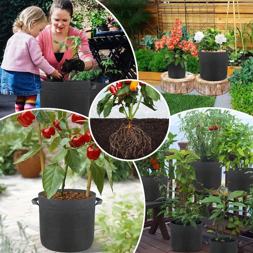 2 Gallons Grow Bags 5 Pack Heavy Duty Thickened Nonwoven Fabric Plant Grow Ba... - Picture 6 of 6