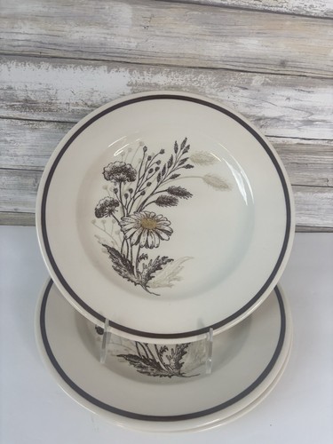 Royal China Americana (3) Autumn Mist 10 1/2”Dinner Plates Vintage 1970s Retro - Picture 1 of 5