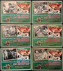 L228.Hornets' Nest, 6 Mexican Lobby Cards '70 Rock Hudson & Sylva Koscina