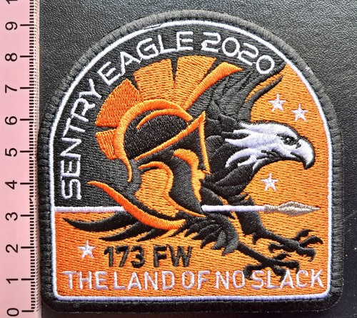 USAF Patch 173rd Fighter Wing F-15 Eagle Oregon ANG Sentry Eagle 2020