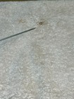 Picture 8 of 24