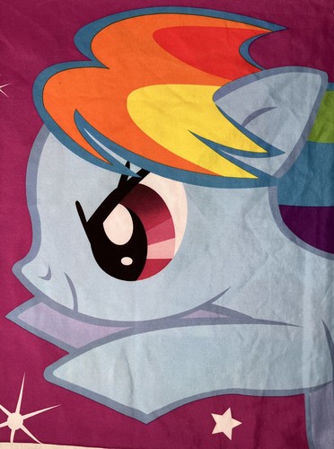 My Little Pony Friendship Is Forever Pillow Case Standard Pinky Pie Rainbow Dash - Picture 5 of 10