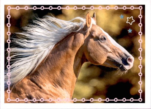 Blue Ocean Horse Club Schleich Lieblingspferde Pferde Sticker Einzelsticker 1-99 - Bild 93 von 100