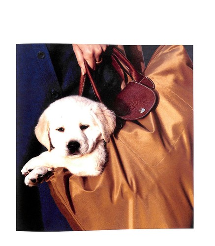 "Longchamp" 2008 AUCOUTURIER, Marie - Picture 3 of 12