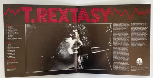 T. REX T. Rextasy + Bonus 12” 2 vinyl records Marc Bolan - Picture 4 of 4