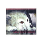 Wolf's Rain Ost 2 Original Soundtrack Japanese Used Cd Yoko Kanno Anime japan