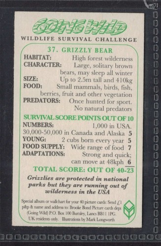 OSO GRIZZLY - 25 + años de antigüedad tarjeta de intercambio inglesa # 37 - Imagen 2 de 2