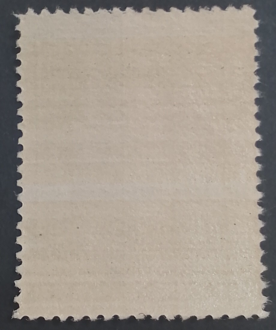 Foto 2 di 2