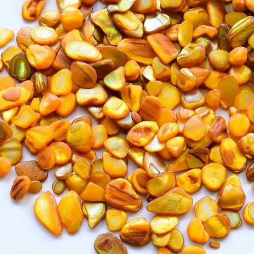 250g Naturel Mer Coque Mosaïque Tuiles Arts Crafts Matériel Divers Irrégulière - Afbeelding 9 van 15