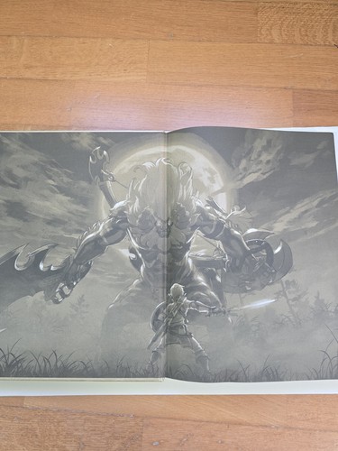 Zelda breath of the wild guida Con Mappa - Foto 2 di 6