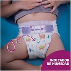 Imagen 8 de 12