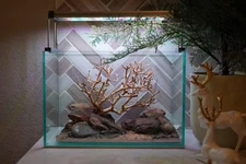 [SCAPE-90] Bonsai On Rock Nature Aquarium Aquascape – 2.7 Gallons