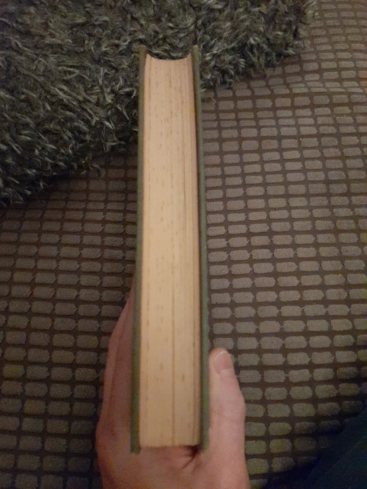 Picture 7 of 7