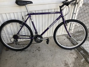 bianchi nyala bike