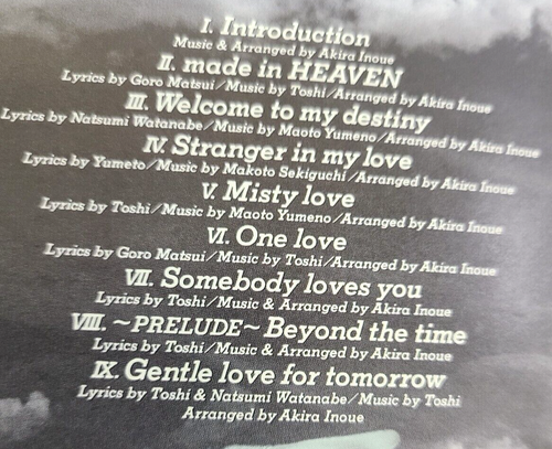Toshi (X JAPAN) Made In Heaven Japan 1st Limited CD w/5postcards Slipcase 1992 - Imagen 14 de 20