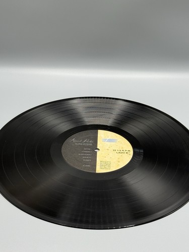 Gloria Estefan ”Abriendo Puertas” Vinyl LP 1995 Latin Pop Ballad/ VG Condition - Picture 8 of 13